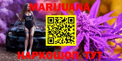 амф Новозыбков