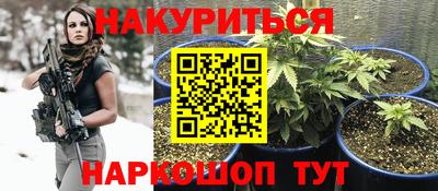 гидра Новокубанск