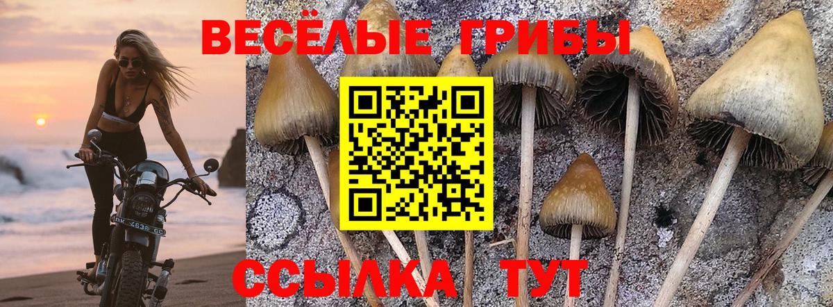 Галлюциногенные грибы Magic Shrooms Унеча